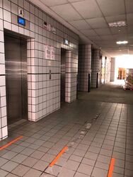 Loyang Industrial Estate (D17), Factory #288476731